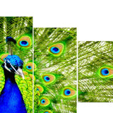 Max Maxb Modern Art Painting PVC Print Picture Home Wall Decor Unframed Peacock