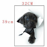 Max Maxb Creative 3D Toilet Stickers Bathroom Decorative Decals Cute Dog