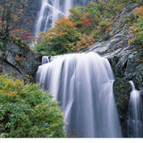 Max 3D Waterproof Tapestry -Landscape Series Vertical Waterfall Decor 180x180cm