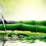 Max 3D Waterproof Tapestry-Landscape Series Bamboo Waterdrop Decor 150x130cm