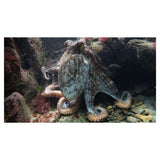Max 3D Waterproof Tapestry Marine Life Series - Octopus Decoration 150x130cm