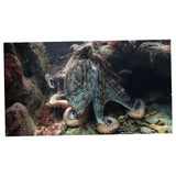 Max 3D Waterproof Tapestry Marine Life Series - Octopus Decoration 150x130cm