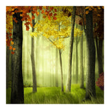 Maxbell 3D Waterproof Tapestries Wall Hanging Tapestry For Indoor Outdoor Usage C