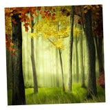 Maxbell 3D Waterproof Tapestries Wall Hanging Tapestry For Indoor Outdoor Usage C