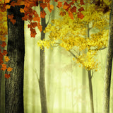 Maxbell 3D Waterproof Tapestries Wall Hanging Tapestry For Indoor Outdoor Usage D