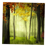 Maxbell 3D Waterproof Tapestries Wall Hanging Tapestry For Indoor Outdoor Usage D