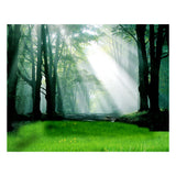 Maxbell 3D Waterproof Tapestries Wall Hanging Tapestry For Indoor Outdoor Usage E