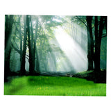 Maxbell 3D Waterproof Tapestries Wall Hanging Tapestry For Indoor Outdoor Usage E