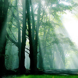 Maxbell 3D Waterproof Tapestries Wall Hanging Tapestry For Indoor Outdoor Usage F