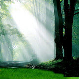 Maxbell 3D Waterproof Tapestries Wall Hanging Tapestry For Indoor Outdoor Usage F