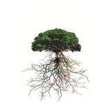 Maxbell 3D Waterproof Tapestries Wall Hanging Tapestry For Indoor Outdoor Usage G