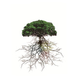 Maxbell 3D Waterproof Tapestries Wall Hanging Tapestry For Indoor Outdoor Usage G