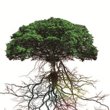 Maxbell 3D Waterproof Tapestries Wall Hanging Tapestry For Indoor Outdoor Usage G