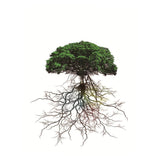 Maxbell 3D Waterproof Tapestries Wall Hanging Tapestry For Indoor Outdoor Usage G