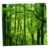 Maxbell 3D Waterproof Tapestries Wall Hanging Tapestry For Indoor Outdoor Usage I