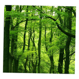 Maxbell 3D Waterproof Tapestries Wall Hanging Tapestry For Indoor Outdoor Usage I