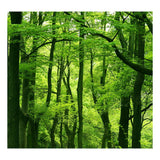 Maxbell 3D Waterproof Tapestries Wall Hanging Tapestry For Indoor Outdoor Usage I