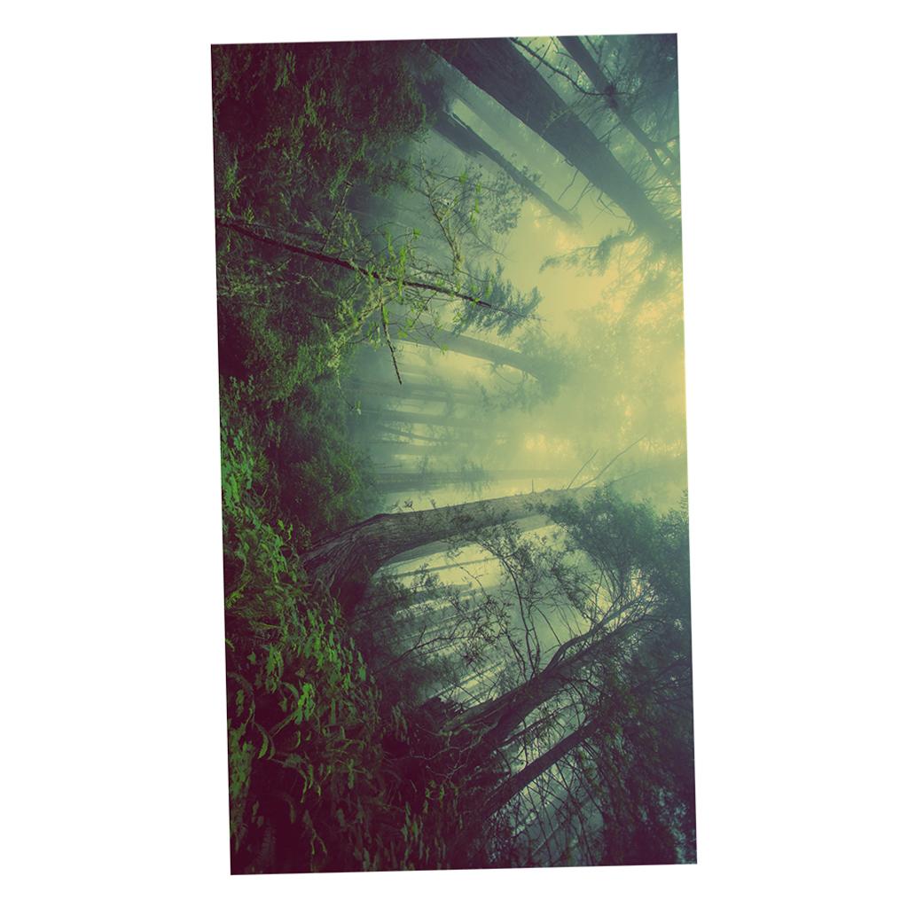 Maxbell  3D Waterproof Tapestries Wall Hanging Tapestry For Indoor Outdoor Usage M