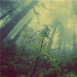 Maxbell 3D Waterproof Tapestries Wall Hanging Tapestry For Indoor Outdoor Usage N