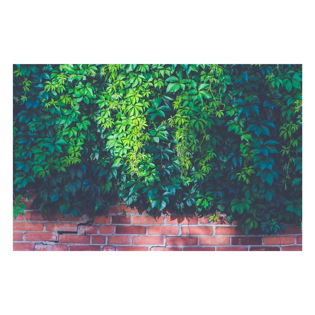 Maxbell 3D Waterproof Tapestries Wall Hanging Tapestry For Indoor Outdoor Usage O