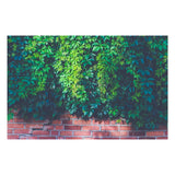 Maxbell 3D Waterproof Tapestries Wall Hanging Tapestry For Indoor Outdoor Usage P