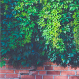 Maxbell 3D Waterproof Tapestries Wall Hanging Tapestry For Indoor Outdoor Usage P