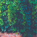 Maxbell 3D Waterproof Tapestries Wall Hanging Tapestry For Indoor Outdoor Usage P