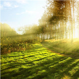 Maxbell 3D Waterproof Tapestries Wall Hanging Tapestry For Indoor Outdoor Usage R