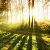 Maxbell 3D Waterproof Tapestries Wall Hanging Tapestry For Indoor Outdoor Usage R