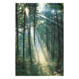 Maxbell 1x 3D Decorative Tapestries Wall Hanging Tapestry DIY For Indoor Outdoor  A