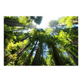 Maxbell 1x 3D Decorative Tapestries Wall Hanging Tapestry DIY For Indoor Outdoor  K