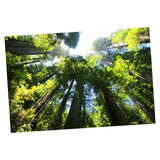 Maxbell 1x 3D Decorative Tapestries Wall Hanging Tapestry DIY For Indoor Outdoor  K