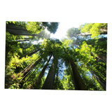 Maxbell 1x 3D Decorative Tapestries Wall Hanging Tapestry DIY For Indoor Outdoor  K