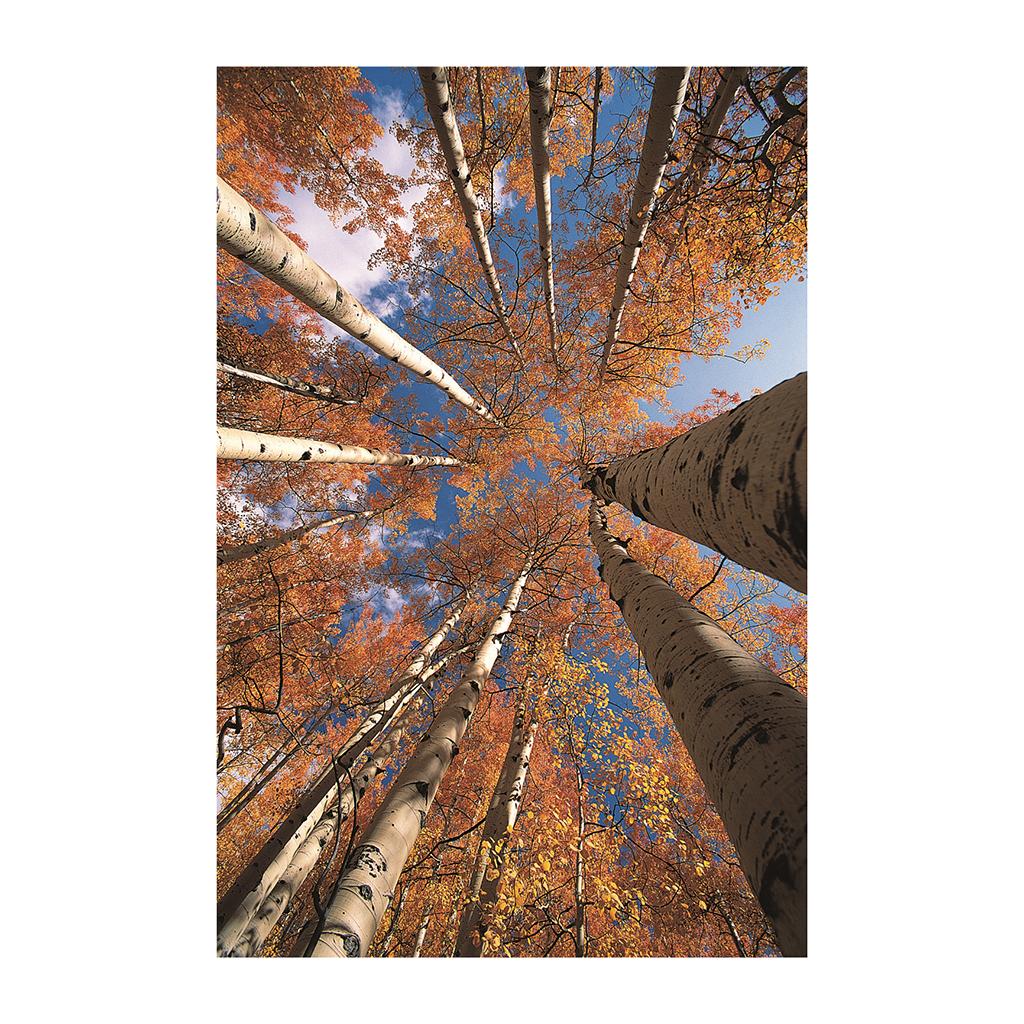 Maxbell 1x 3D Decorative Tapestries Wall Hanging Tapestry DIY For Indoor Outdoor  M