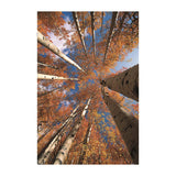 Maxbell 1x 3D Decorative Tapestries Wall Hanging Tapestry DIY For Indoor Outdoor  M