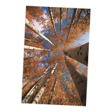 Maxbell 1x 3D Decorative Tapestries Wall Hanging Tapestry DIY For Indoor Outdoor  M