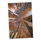 Maxbell 1x 3D Decorative Tapestries Wall Hanging Tapestry DIY For Indoor Outdoor  N