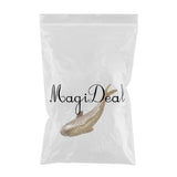 Maxbell Resin Wall Decoration Ornament for Home Background Wall Decor Carp Right