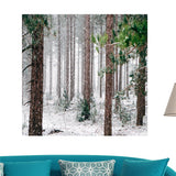 Frameless Modern Oil Painting Wall Decal Sticker Panel 60x60cm Snow Forest