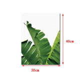 Maxbell Tropical Plants Banana leaves Palm leaves Wall Hanging Painting Picture M