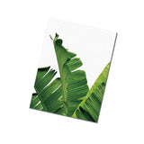 Maxbell Tropical Plants Banana leaves Palm leaves Wall Hanging Painting Picture M