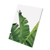 Maxbell Tropical Plants Banana leaves Palm leaves Wall Hanging Painting Picture M