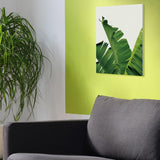 Maxbell Tropical Plants Banana leaves Palm leaves Wall Hanging Painting Picture L