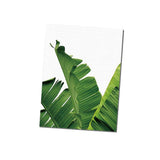 Maxbell Tropical Plants Banana leaves Palm leaves Wall Hanging Painting Picture L