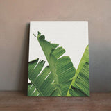 Maxbell Tropical Plants Banana leaves Palm leaves Wall Hanging Painting Picture L