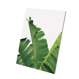 Maxbell Tropical Plants Banana leaves Palm leaves Wall Hanging Painting Picture L