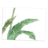 Maxbell Green Plant Canvas Oil Painting Picture Unframed Wall Art  banana leaf L
