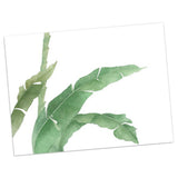 Maxbell Green Plant Canvas Oil Painting Picture Unframed Wall Art  banana leaf L