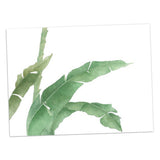 Maxbell Green Plant Canvas Oil Painting Picture Unframed Wall Art  banana leaf L