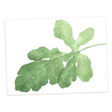 Maxbell Green Plant Canvas Oil Painting Picture Unframed Wall Art  fig leaves M